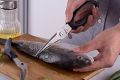 Poultry Shears / Shear - Heavy Duty Kitchen Scissors for Cutting Chicken / Game / Bone / Fish / Meat - Chopping Food - Spring Loaded. 