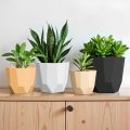 SHERA | Hexa 6" Planter | Indoor and Outdoor | Gamala | Flower Pot. 
