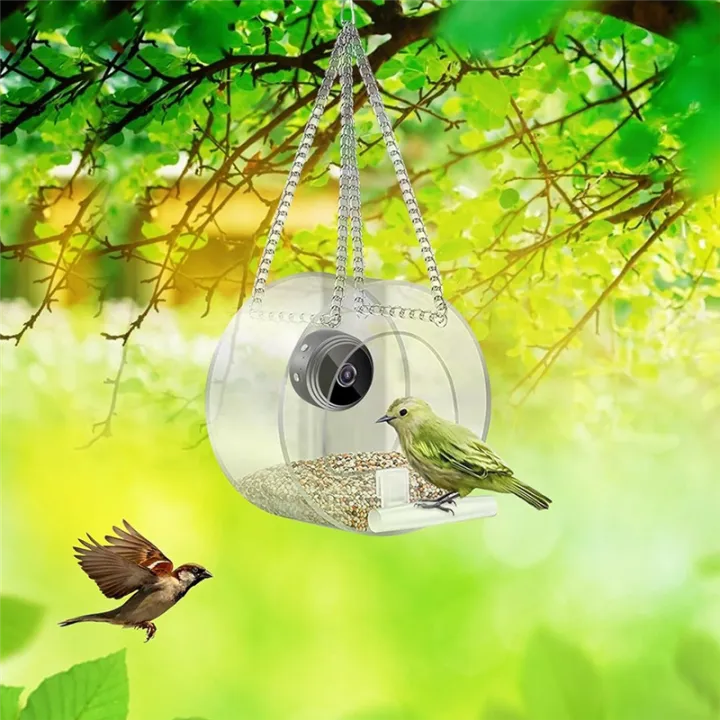 ARELENE%20Smart%20Bird%20Feeder%20with%20Camera,%20Bird%20Watching%20Camera%20Wirelessly%20Automatically%20Captures%20Bird%20Video%20and%20Motion%20Detection%20-%20Image%205