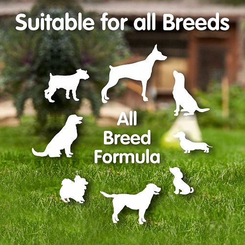 Detick%20Spot%20On%20Solution%20for%20Dogs%20Only%20-%206pc%20-%20Image%205