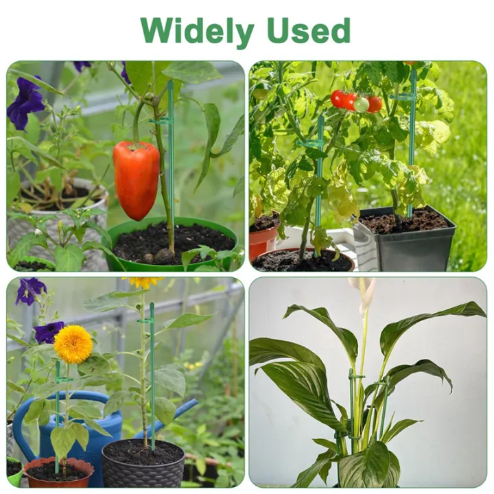 Plant%20Stakes%20Sets,%20Plant%20Sticks%20with%20Connect%20Pipe%20for%20Indoor%20and%20Outdoor%20Plants,%20Green%20Adjustable%20Plant%20Support%20Stake%20Easy%20to%20Use%20-%20Image%206