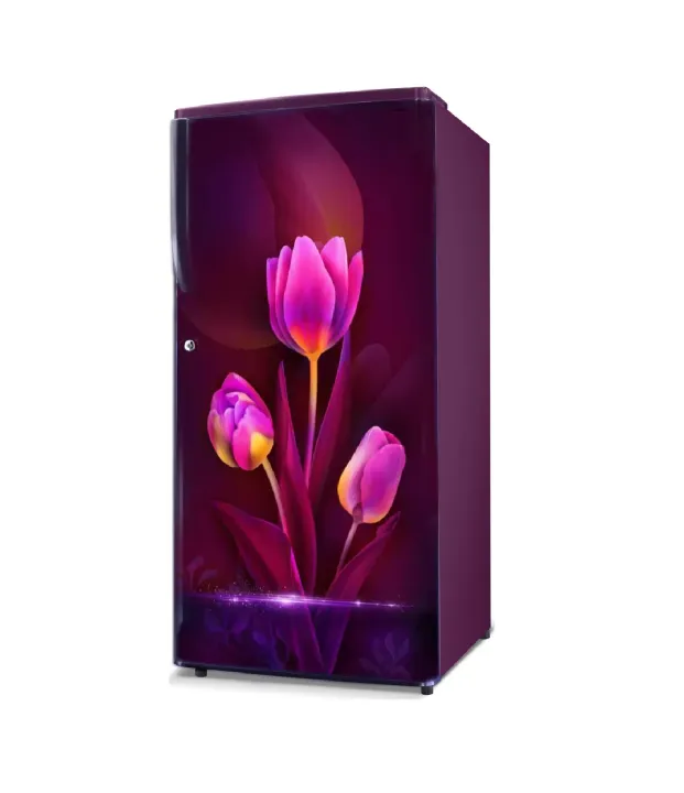 Gem%20Refrigerator%20-%20185%20Ltr%20-%20Direct%20Cool%20-%20Trisha%20-%20Image%203