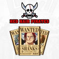 One Piece Anime Bounty Wanted Poster Set Of 10 Gol D Roger Whitebeard Marco Ace Boa Hancock Eustass Captain Kid Kill er Doflamingo Kuma Katakuri. 
