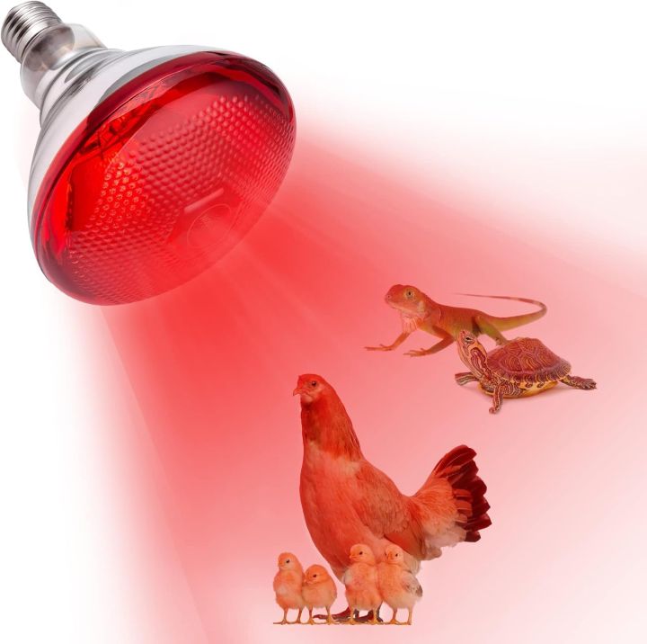 Infrared%20Heating%20Lamp%20with%20Heavy%20Duty%20Pendent%20Holder%20%E2%80%93%20Pet%20Brooder,%20Hatch%20Chicken%20&%20Animal%20Infrared%20Lamp%20for%20Breeding%20-%20Image%202