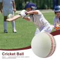 Sports cricket, training cricket, White. 