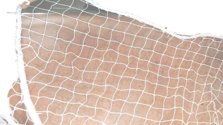 Anti%20Bird%20Net-%20Pigeon%20Net%20UV%20Stabilized%20%20(10%20FT%20x%20%20100FT)%20with%20Attached%20Corner%20Ropes%20&%20Installation%20Kit/Size-%20(10FT%20x%20100%20FT)%20-%20Image%202
