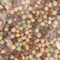 Kwati Mix of 9 Beans  500 Gm. 