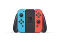 Nintendo Switch OLED Model w/ Neon Red & Neon Blue Joy-Con Multi - GAG NEPAL. 