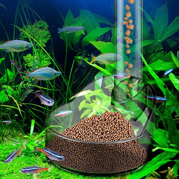 Shrimp%20Feeder%20Tube%20and%20Dish%20Plastic%20Fish%20Feeding%20Ring%20Floating%20Circle%20Easy%20to%20Use%20Aquarium%20Feeders%20for%20Tropical%20FishYULING%20-%20Image%203