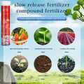 Growth Vitamins For Plants Home Gardening Slow Release 22 pcs/box. 