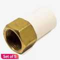 White Color CPVC Joint For Pipe and Holder Set of 5. 