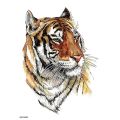 Color Tiger Lion Wolf Black Lion Waterproof Temporary Tattoos Men Tattoo Body Tattoo Stickers Women Temporary Tattoo. 