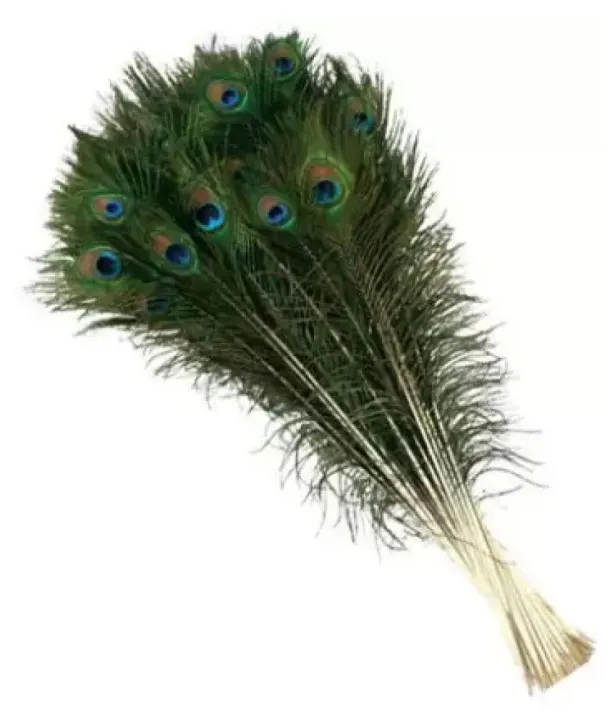 Mayurko%20Puwakh%20(Peacock%20Feather)%20Set%20of%205%20pcs%20By%20Mitrata%20-%20Image%202