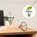4 Pieces Avocado Seed Growing Metal Stand. 