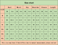 New Korean Thin Style Temperament Women's Blouse Plus Size Printed Design Lantern Sleeve Casual Shirts. 