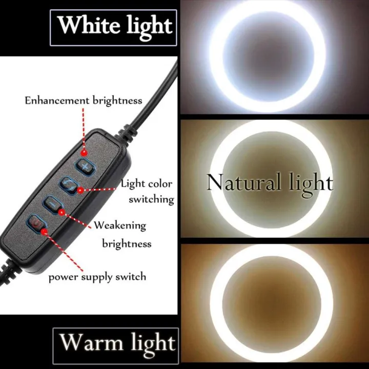 Light%20or%20tiktok%20video%20-%20Image%202