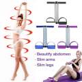 Double Spring Tummy Trimmer. 