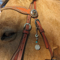 Horse Saddle and Bridle Charm Clip, Bless-This Horse and Rider Keep Safe Bridle Saddle Charm Gifts for E. 