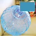 Pet Hamster Ball Toys Exercise Running Balls for Chinchilla Rat Mouse Products. 