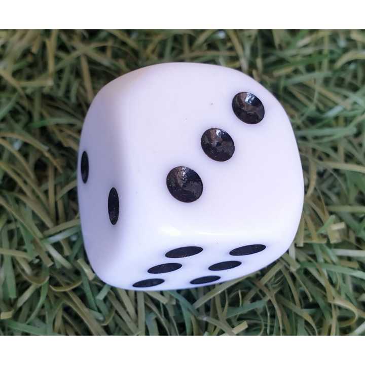 Ludo Dice ( Pot Chhakka ko Goti) Big size White Body With Black Dots By Mitrata