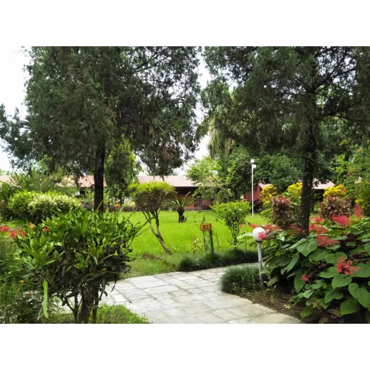 1%20Night%202%20Days%20New%20Year%20Package%20For%20Sauraha,%20Chitwan%20-%20Image%204