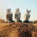 New Pest Control Owl Bird Deterrent Realistic Sunscreen Owl Ornaments Waterproof Garden Decoration Owl Decoy Outdoor. 