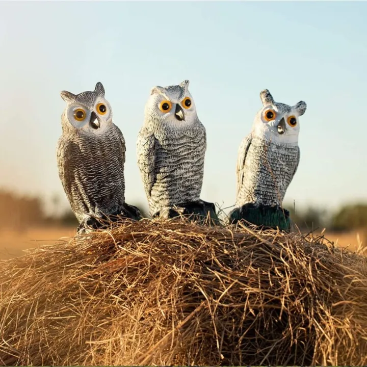 New%20Pest%20Control%20Owl%20Bird%20Deterrent%20Realistic%20Sunscreen%20Owl%20Ornaments%20Waterproof%20Garden%20Decoration%20Owl%20Decoy%20Outdoor%20-%20Image%207