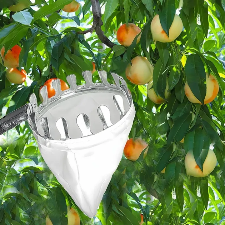 Fruit%20Picker%20with%205%20Telescopic%20Pole%20Metal%20Fruit%20Picker%20Orchard%20Gardening%20Peach%20Picking%20Tools%20Garden%20Fruit%20Picking%20Tool%20Easy%20Install%20Easy%20to%20Use%20-%20Image%207