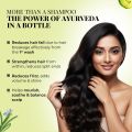 Just Herbs Amla Neem Anti Hairfall Shampoo 200 ML. 