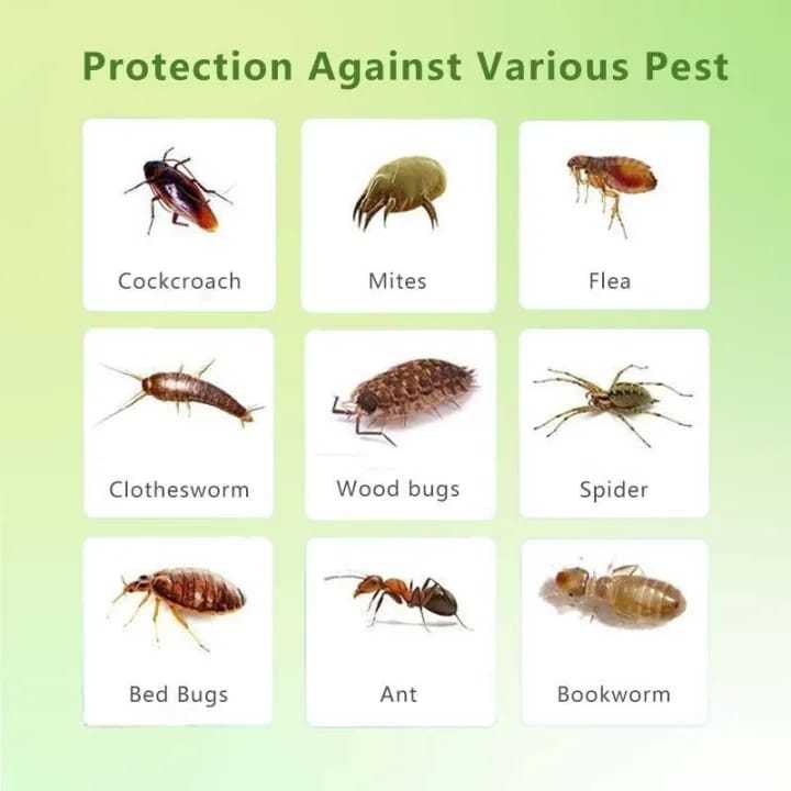 Household%20Anti-Bug%20Mothball%20Japan%20Style%20Cabinet%20Drawer%20Fresh%20Deodorant%20Pest%20Control%20Insect%20Mothballs%20-%20Image%203