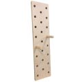 Crossfit Wall Mounted Climbing Fitness Pegboard 4ft. 