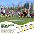 Sports Speed Agility Training Set 12 Disc Cones 4 Steel Stakes and Agility Ladder for Football Basketball Rugby Track. 