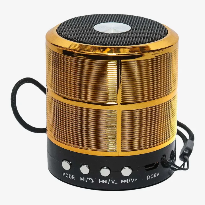 Mini Bluetooth Speaker WS 887 TF USB FM AUX | Daraz.com.np