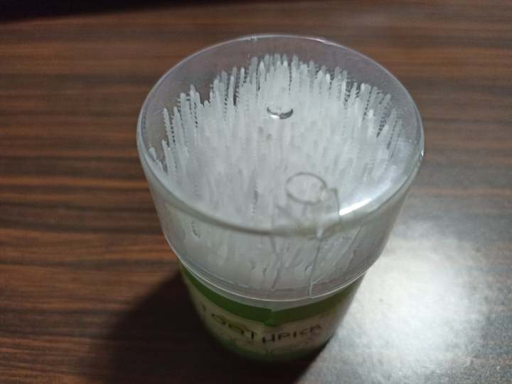 Tooth Pick (Plastic)