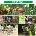 Handheld Soil Blocker 2-Inch Soil Block Maker Soil Blocking Tool for Garden Cultivate Seedlings. 