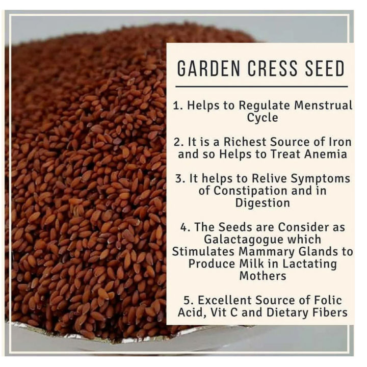 Garden%20Cress%20Seeds%20(%20Chamsur%20Ko%20Dana%20)%20-%20200gm%20-%20Image%202