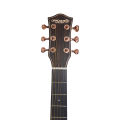 Dreammaker Guitar DM-40US Premium Semi Acoustic Guitar | Dreammaker Semi Acoustic Guitar With Accessories. 
