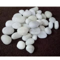 1 Kg White Stone Pebbles For Aquarium And Garden Decoration Natural White Polished Stones - Decorative Stones |. 