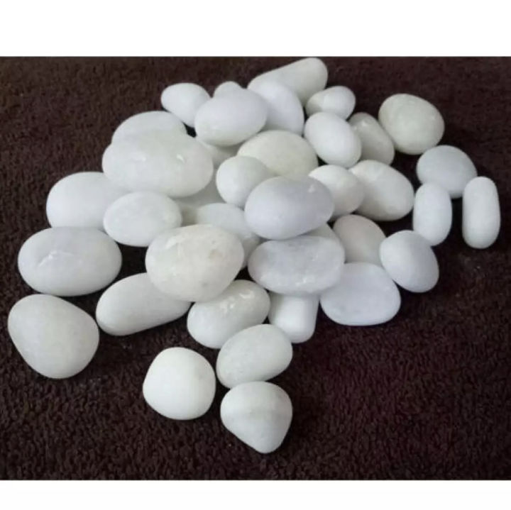 1%20Kg%20White%20Stone%20Pebbles%20For%20Aquarium%20And%20Garden%20Decoration%20Natural%20White%20Polished%20Stones%20-%20Decorative%20Stones%20%7C%20-%20Image%204