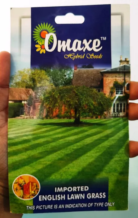 Omaxe%20Lawn%20Grass%20Seeds,%20Suitable%20For%20Round%20A%20Year%20Cultivation%20avg%20200%20Seeds%20Pack%20-%20Chinese%20Lawn%20Grass%20Seeds%20Chinese%20Dubo%20(%E0%A4%9A%E0%A4%BE%E0%A4%87%E0%A4%A8%E0%A4%BF%E0%A4%9C%20%E0%A4%A6%E0%A5%81%E0%A4%AC%E0%A5%8B%E0%A4%95%E0%A5%8B%20%E0%A4%AC%E0%A4%BF%E0%A4%89%20%20)%20-%20Image%202