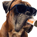 2X Funny Dog Toys - Plush Squeaky Toys for Medium, Small - Cool Stuffed Cute Gifts for Dog Birthday. 