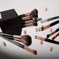 BH STUDIO PRO makeup brush set, BH Signature Rose Gold 13 Piece Brush Set with Holder (black). 