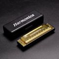 Portable Key of C 10 Hole Harmonica with Box Metal Mouth Organ Beginner Teaching Rectangle Musical Instrument Children. 