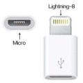 Adapter for Lightning Connector to Micro USB Converter. 