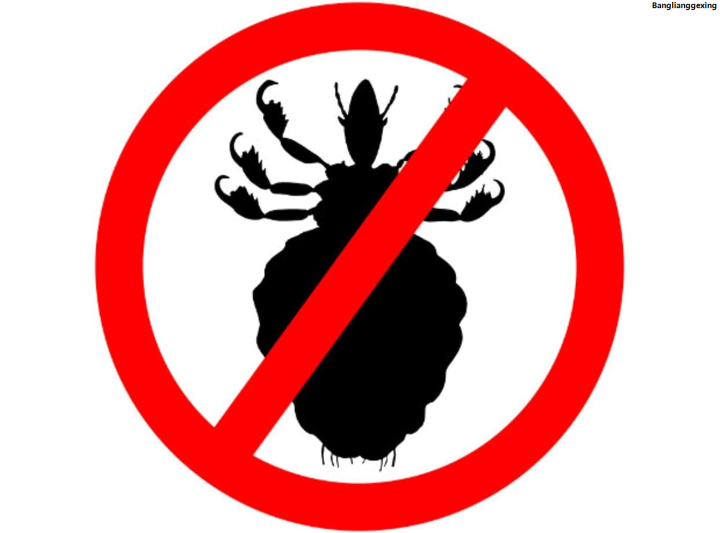 BanglianggexingLuxury%20Lice%20Comb%20No%20Nit%20Hair%20Rid%20Headlice%20Superdensity%20Stainless%20Steel%20Metal%20Teeth%20Remove%20Nits%20Brush%20Comb%20-%20Image%203