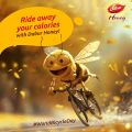 Dabur Honey 250gm - Purity Guranteed. 