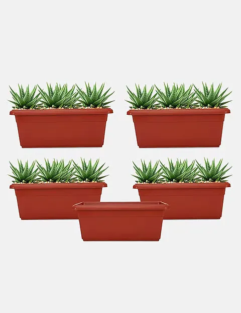 Walmasta%20Flowerpot%20(Gamala)%20Color%20Paint%20-Brown%20-1liter%20-%20Image%203