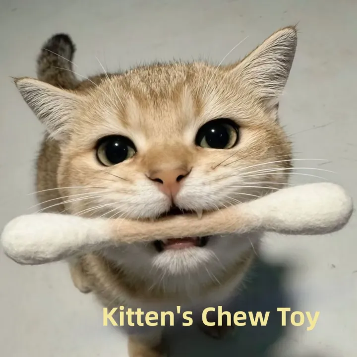 Creative%20Large%20Size%20Cat%20Grinding%20Biting%20Stick%20Cotton%20Swab%20Shaped%20Durable%20Giant%20Cotton%20Swabs%20Cat%20Toys%20Bite%20Resistant%20Kitten%20Chew%20Sticks%20Boredom%20-%20Image%205