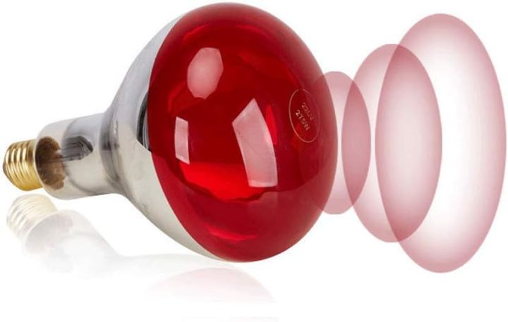 Infrared%20Heating%20Lamp%20Breeding%20Bulb%20With%20Free%20Heavy%20Duty%20Pendent%20Holder,%20200W/250W%20Pet%20Brooder%20Hatch%20Chicken,%20Animals%20Infrared%20Lamp%20By%20Bijulipasal%20-%20Image%203