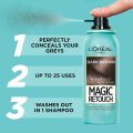 Loreal Paris Magic Retouch Instant Root Concealer Spray (75ml). 